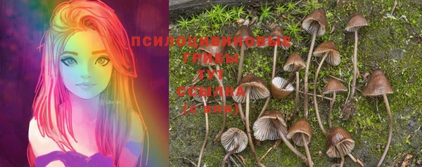 гидропоника Аркадак