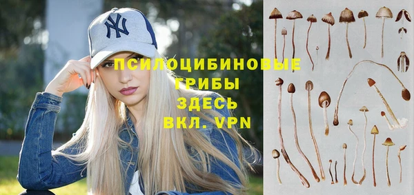гидропоника Аркадак